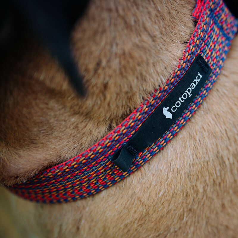 Del Día Dog Collar